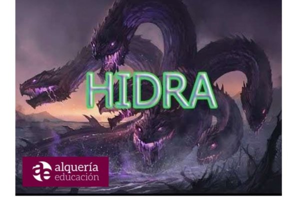 Kra17.at